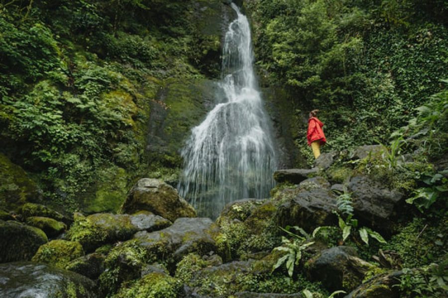 Mtirala national park ​hike