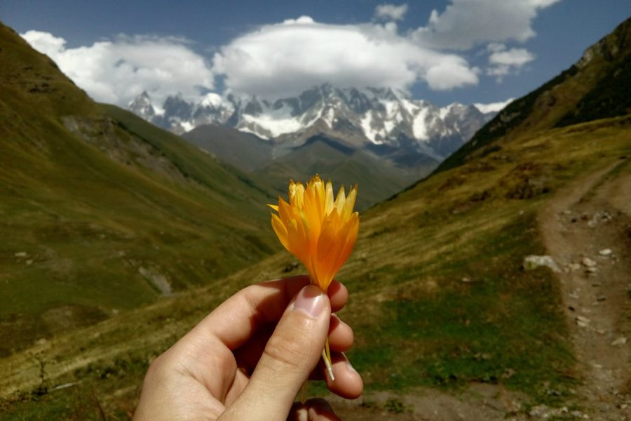 Mestia – ushguli