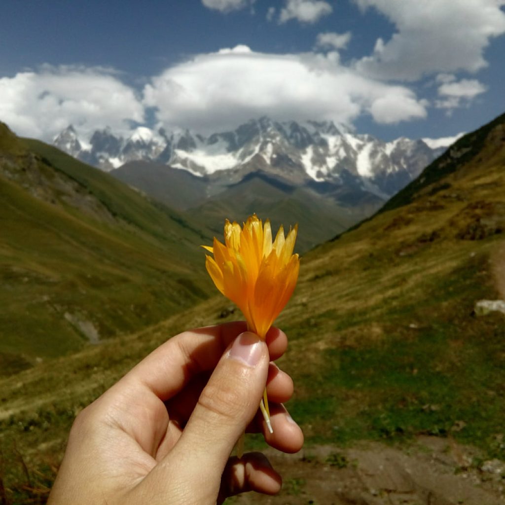 img-20170906-133342_1_orig